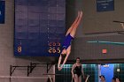 Women's Diving  Wheaton College Women’s Diving vs Mount Holyoke College. - Photo by Keith Nordstrom : Wheaton, Swimming & Diving